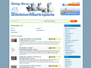 Image deine-birmakatze
